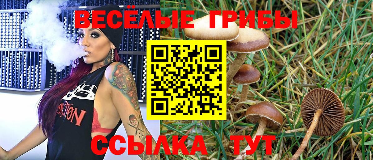 Белебей  Галлюциногенные грибы Psilocybine cubensis  Вход с VPN  Псилоцибиновые грибы Cubensis 